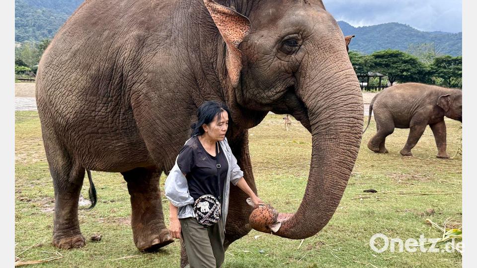 Lek ist für ihre Arbeit vielfach ausgezeichnet worden. Bild: Carola Frentzen/dpa