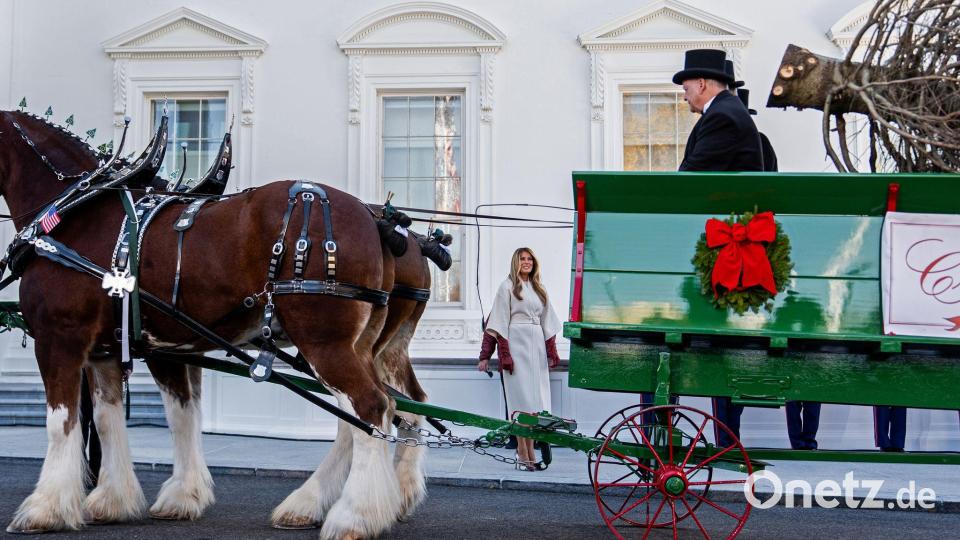 Der Weihnachtsbaum kommt im Weißen Haus an. Bild: Julia Demaree Nikhinson/AP/dpa