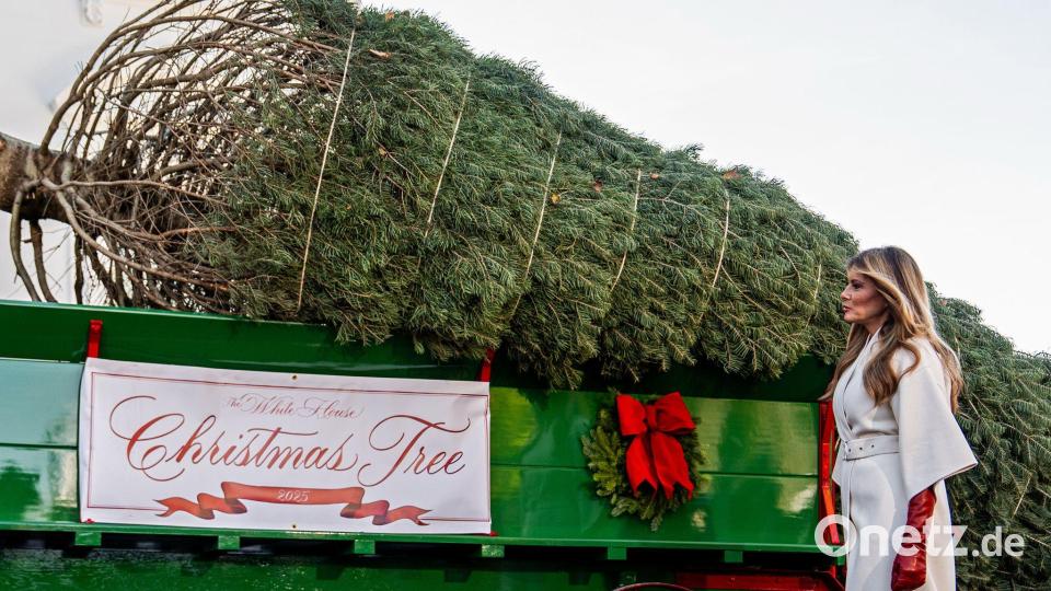 Melanie Trump nimmt den Weihnachtsbaum in Empfang. Bild: Julia Demaree Nikhinson/AP/dpa