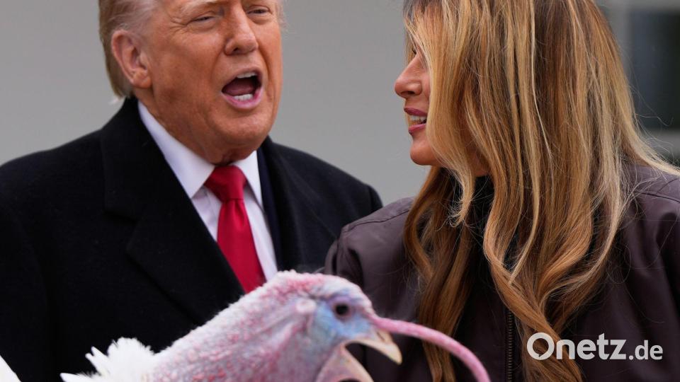 Trump begnadigt Truthahn vor Thanksgiving. Bild: Julia Demaree Nikhinson/AP/dpa