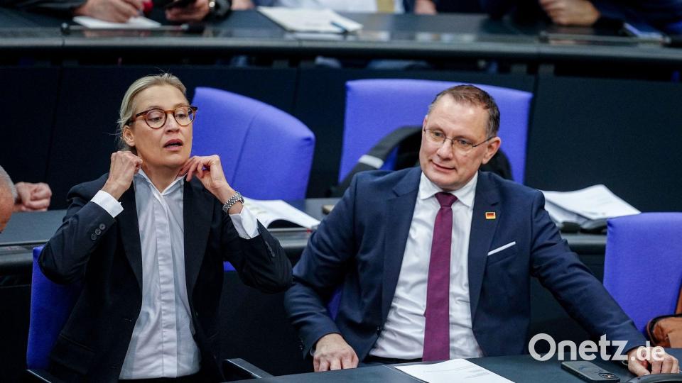 Die Gespräche von Alice Weidel, Co-Fraktionsvorsitzende und Co-Parteichefin der AfD, mit Unternehmern finden nach Angaben ihres Sprechers bislang meist im vertraulichen Rahmen statt. Bild: Kay Nietfeld/dpa