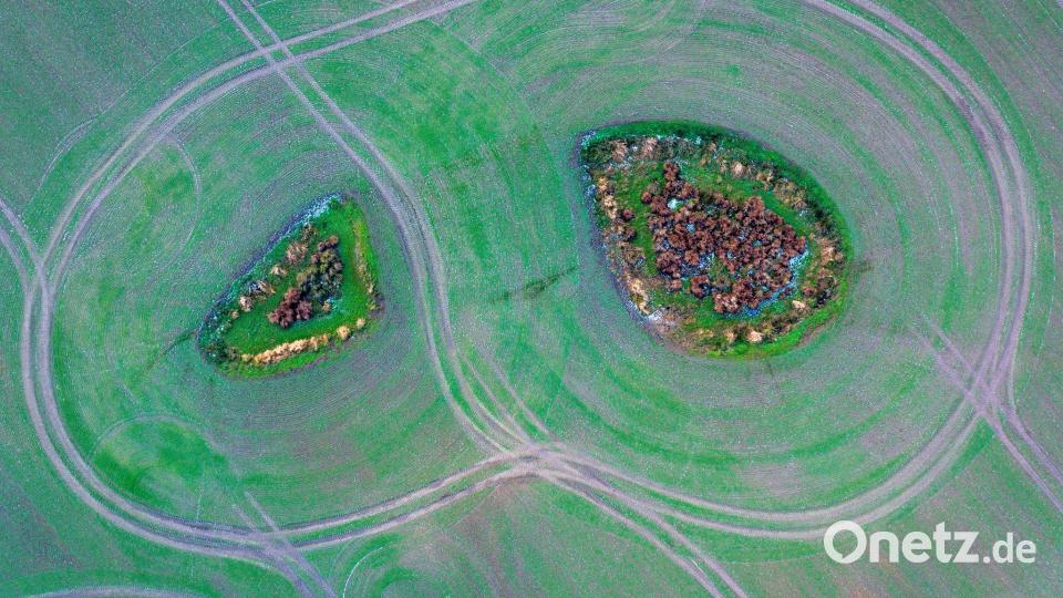 Zwei Inseln auf dem Feld - Landwirtschaft von oben Bild: Jens Büttner/dpa
