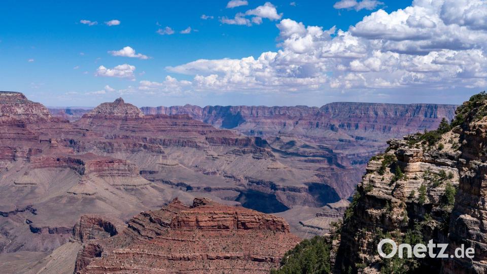 Dieser Blick wird künftig viel teurer. (Archivbild) Bild: Alex Brandon/AP/dpa