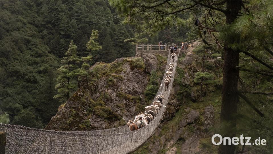 Die Reisegruppe musste viele Hängebrücken überwinden. Diese werden auch von Lastentieren benutzt, die Waren und Gepäck transportieren. Bild: Peter Schröder
