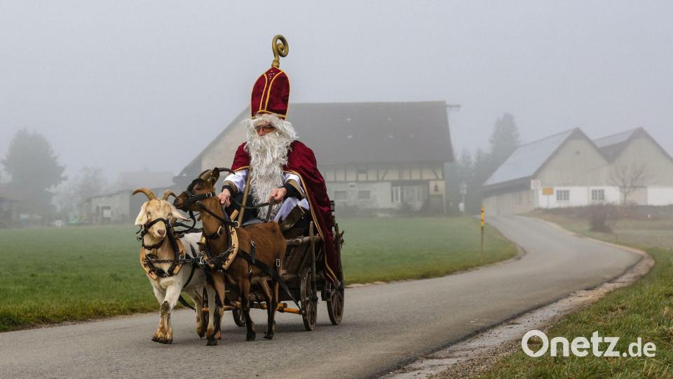 Ziegen ziehen Nikolausgespann Bild: Thomas Warnack/dpa