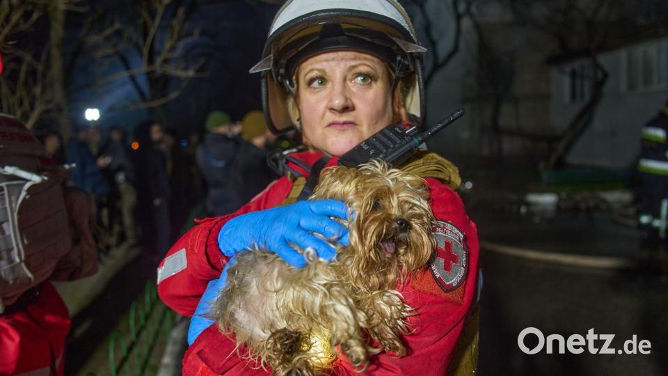 Eine Retterin hält einen geretteten Hund nach dem Einschlag einer russischen Rakete in ein mehrstöckiges Wohnhaus außerhalb von Kiew. Bild: Efrem Lukatsky/AP/dpa