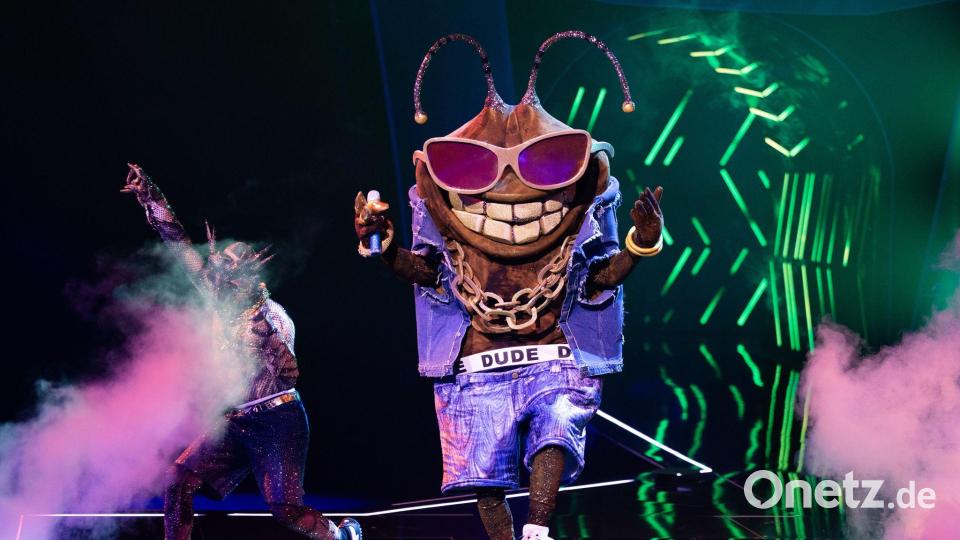 Die Stinkwanze „Dude“ ist bei der ProSieben-Show „The Masked Singer“ raus. (Archivbild) Bild: Rolf Vennenbernd/dpa