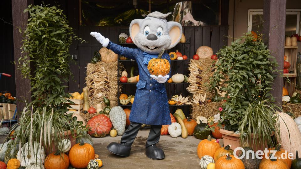 Es gibt jede Menge zu entdecken und zu erleben. Bild: Europapark