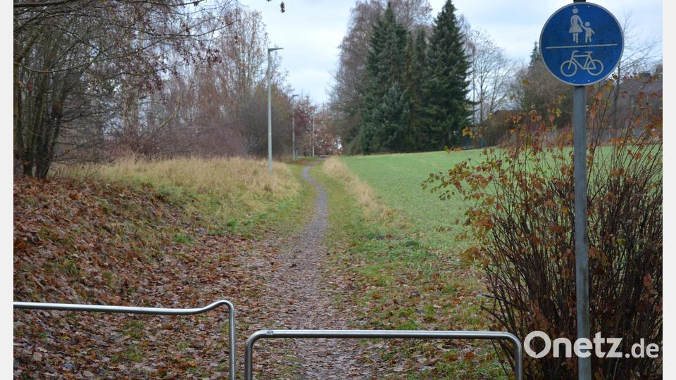 Der Weg von der Gartenstraße zur Gesteinerstraße war einst 1,50 Meter breit. Jetzt ist er nur noch ein schmaler Pfad. Bild: jr