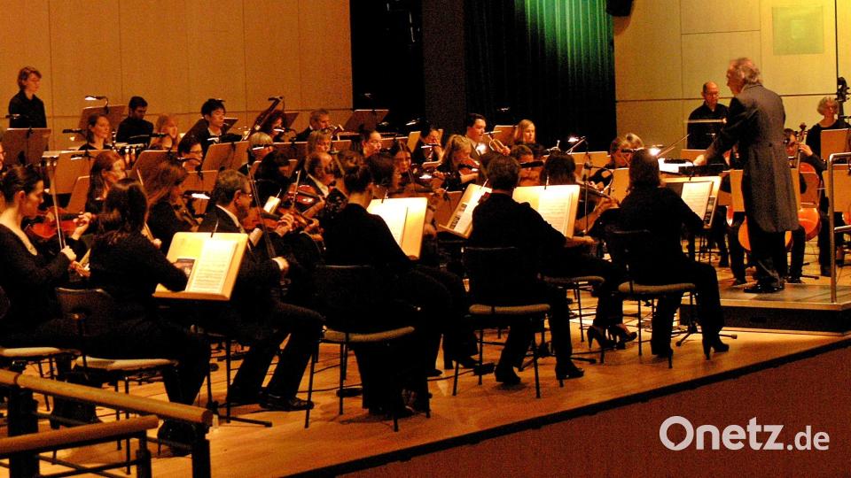 Das Sinfonieorchester der Stadt Weiden bringt ein sinfonisches Erlebnis in die Max-Reger-Halle. Archivbild: R. Kreuzer