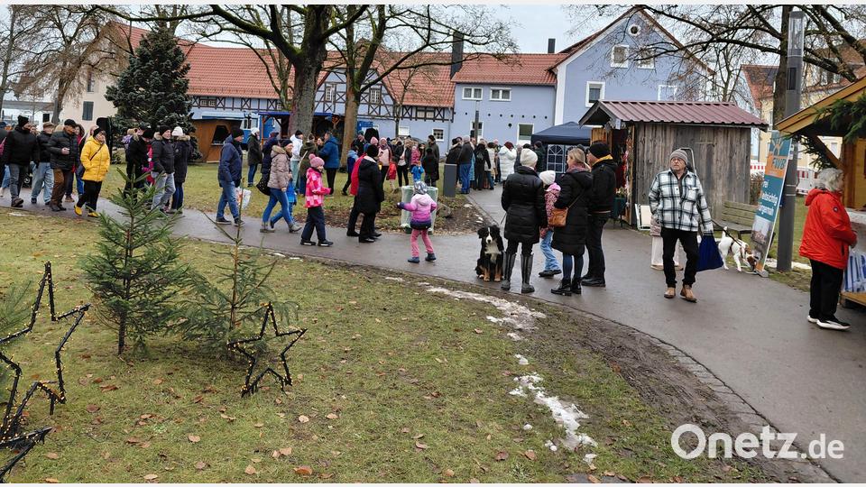 Trotz des feuchtkühlen Wetters nutzen viele die Gelegenheit zu einem Spaziergang durch den Professor-Dietl-Park mit seinen Ständen. Bild: Bernhard Piegsa