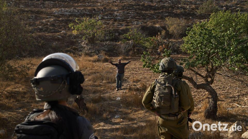 Westjordanland: Soldaten blockieren Palästinensern Zugang zu Olivenhainen Bild: Leo Correa/AP/dpa