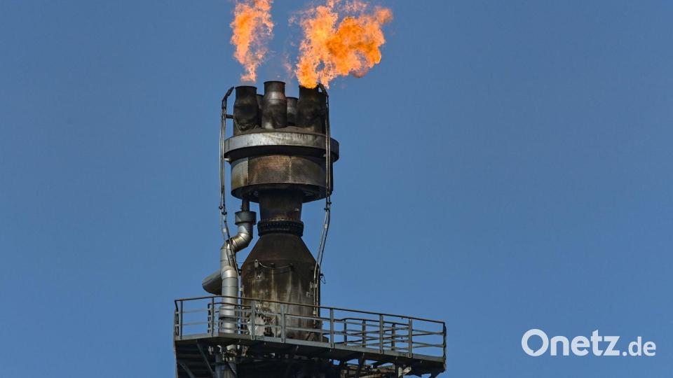 Russland erwirtschaftet mit Energielieferungen in die EU Milliardengewinne. (Archivbild) Bild: Patrick Pleul/dpa