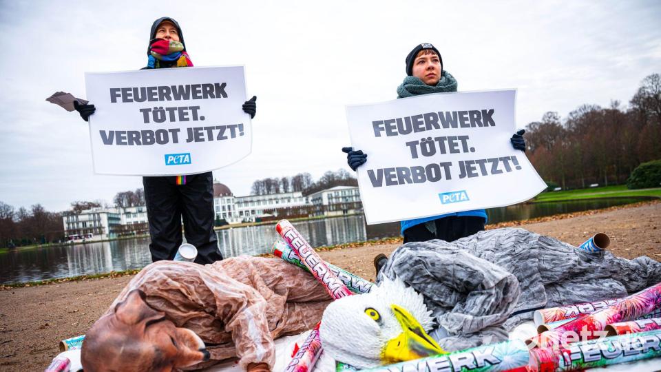 Mit Masken und Kunstblut protestieren Aktivisten in Bremen gegen Feuerwerk. Bild: Sina Schuldt/dpa
