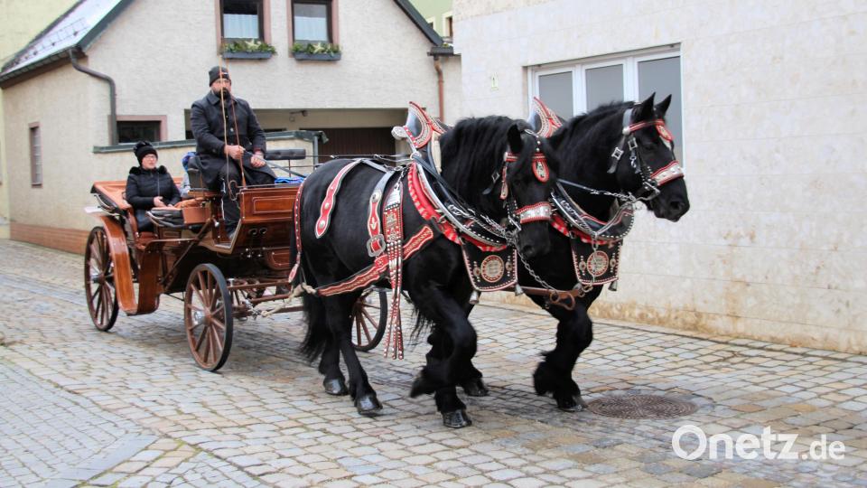 Wer wollte, konnte in einer Pferdekutsche durch den Markt fahren. Bild: bjo