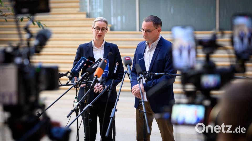 Die AfD wird vorerst vom Bundesamt für Verfassungsschutz weiter als rechtsextremistischer Verdachtsfall eingestuft. (Archivbild) Bild: Bernd von Jutrczenka/dpa