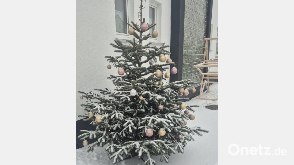 Die Kugeln an dem Christbaum zeigen die Spendenbereitschaft der Besucher des Straßenfests in Vohenstrauß. Jede Christbaumkugel repräsentiert einen Spender. Bild: Manuela Stiebitz