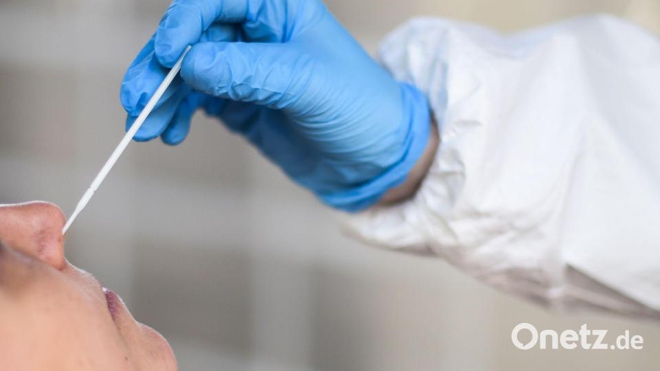 Für fingierte Corona-Tests soll ein Mann in Schwaben mehr als 200.000 Euro bekommen haben. (Symbolbild) Bild: Kira Hofmann/dpa-Zentralbild/dpa