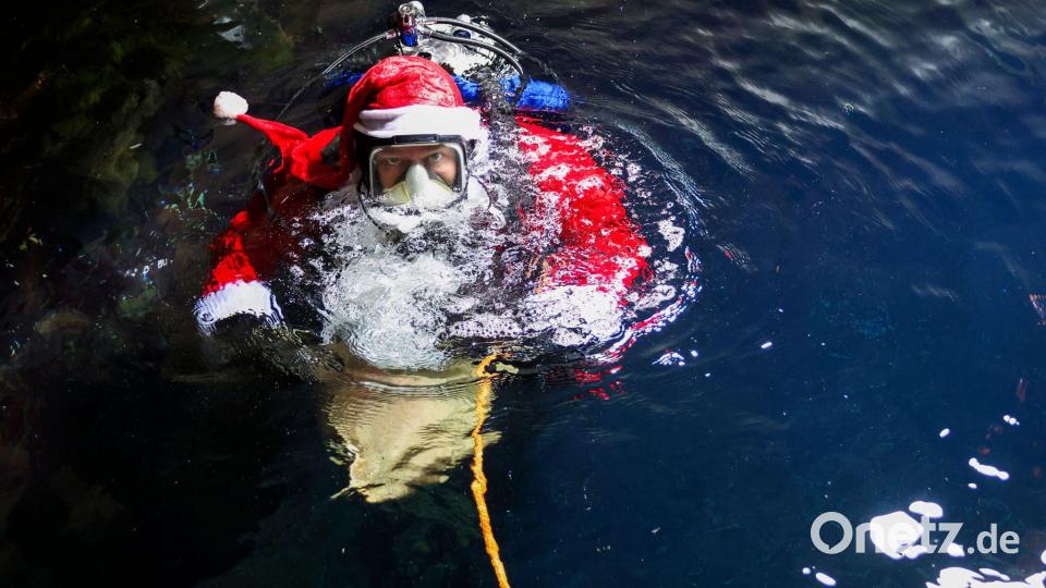 Ein Meeresbiologe im Nikolauskostüm taucht in das 250.000 Liter fassende Becken im Multimar-Wattforum in Tönning, um die Fische zu füttern. Bild: Christian Charisius/dpa