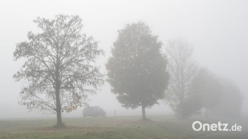 Nebel prägt in diesen Tagen vielerorts das Wetter im Freistaat. (Archivbild) Bild: Stefan Puchner/dpa