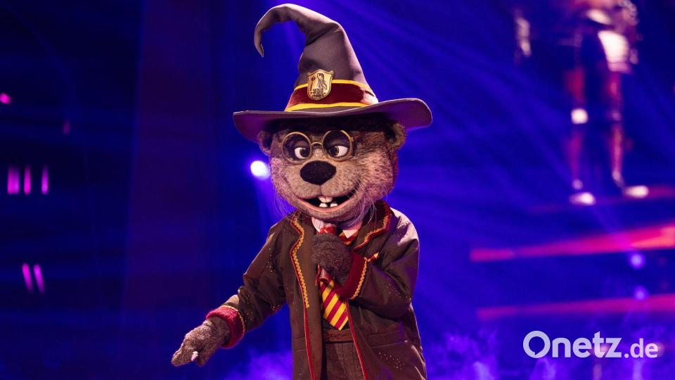 Ausgezaubert für Harry Otter: Clemens Schick ist in der Musikshow „The Masked Singer“ enttarnt worden. (Archivbild) Bild: Rolf Vennenbernd/dpa