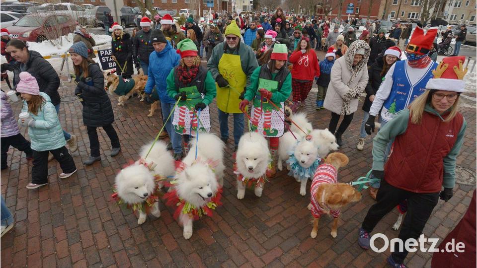 Hunde und ihre Besitzer ziehen während der jährlichen Reindog Parade durch die Innenstadt. Bild: DON CAMPBELL/The Herald-Palladium/AP/dpa