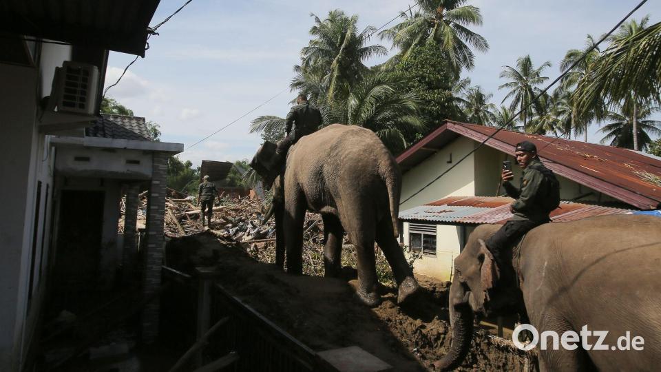 In den betroffenen Gebieten im Norden Sumatras gibt es stellenweise nur für Elefanten ein Durchkommen. Bild: Ahyar Tarmizi/AP/dpa