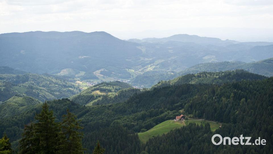 In der Idylle des Schwarzwaldes spielt das Märchen „Das kalte Herz“. (Symbolbild) Bild: picture alliance / dpa