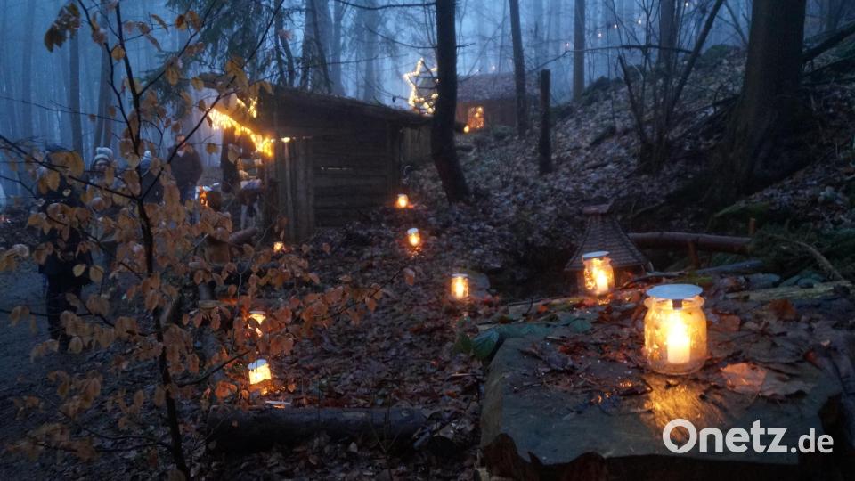 Der Eulenberg verwandelte sich in einen idyllischen Märchenwald. Bild: wel