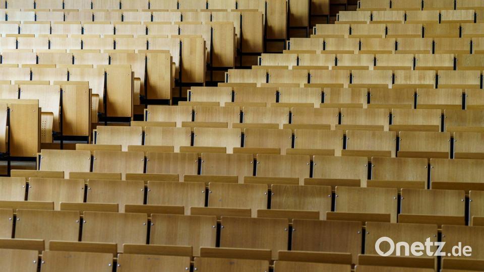 In den Geisteswissenschaften sind 44 Prozent der Professoren weiblich, in den Ingenieurwissenschaften liegt der Anteil deutlich niedriger. (Symbolbild) Bild: Andreas Arnold/dpa