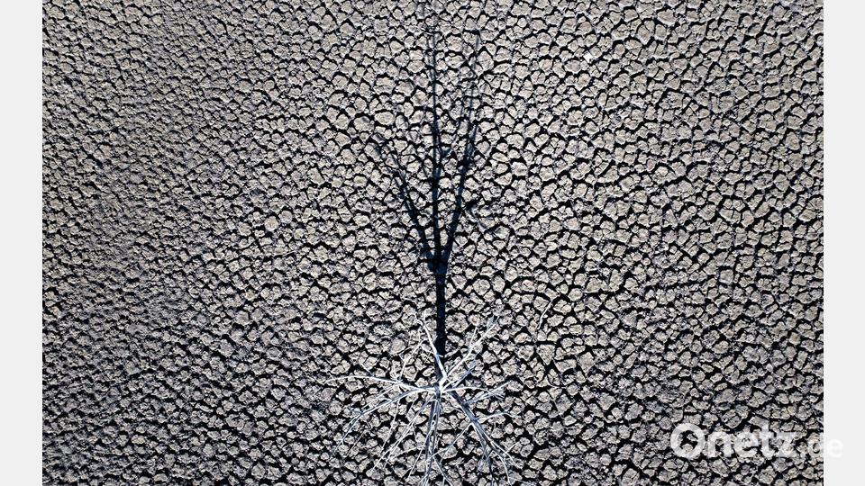 Klimazertifikate aus Drittländern könnten künftig mit EU-Emissionen verrechnet werden. (Symbolbild) Bild: Emilio Morenatti/AP/dpa