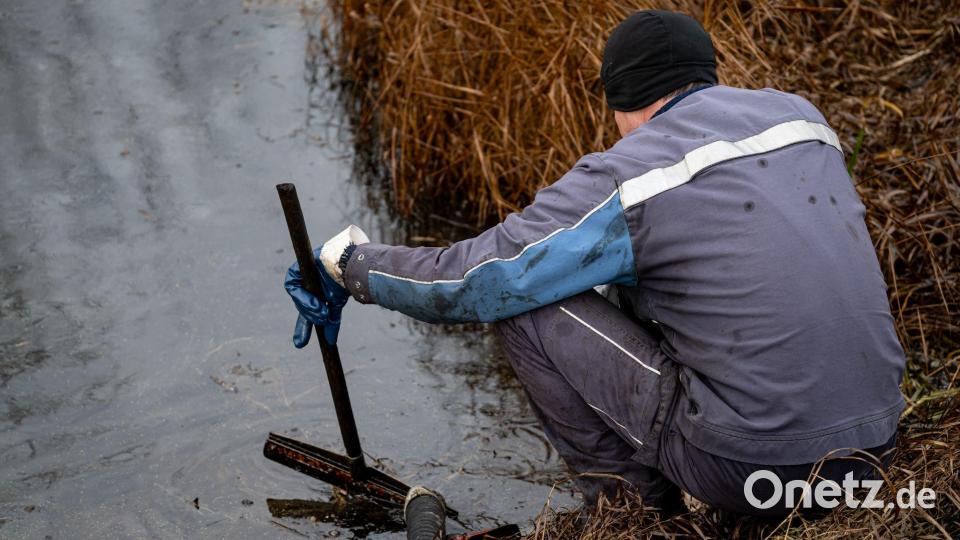 Aufräumen nach dem Unglück: Arbeiter bei Gramzow. Bild: Fabian Sommer/dpa