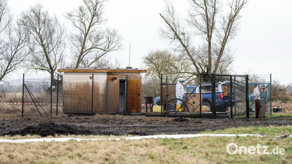 Aufräumen nach dem Unglück: Arbeiter bei Gramzow. Bild: Fabian Sommer/dpa