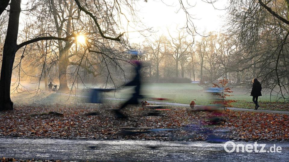 Sonniger Morgen in Leipzig: Radfahrer und Fußgänger sind am Morgen im Clara-Zetkin-Park unterwegs Bild: Jennifer Brückner/dpa