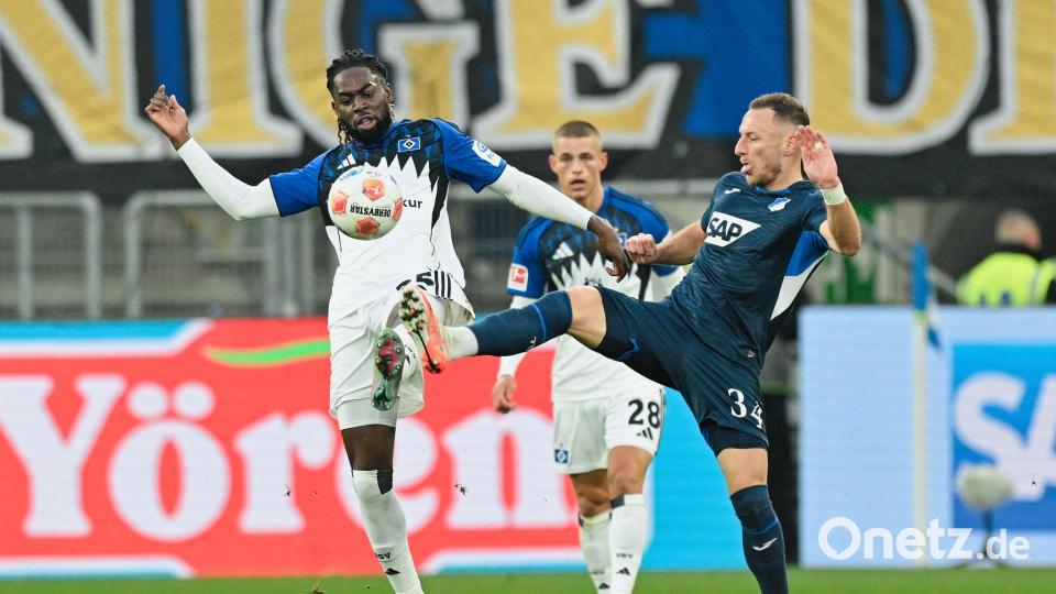 HSV-Profi Jordan Torunarigha (l.): harte Gegenwehr durch Hoffenheim und Vladimir Coufal. Bild: Uwe Anspach/dpa