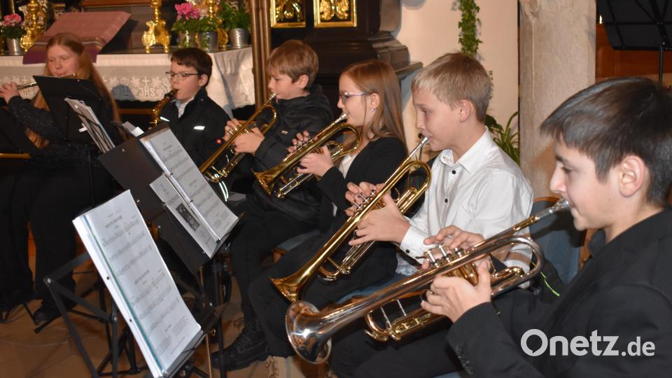 Auch das Nachwuchsblasorchester unter der Leitung von Ulli Dziwinski erfreute das Publikum. Bild: rgr