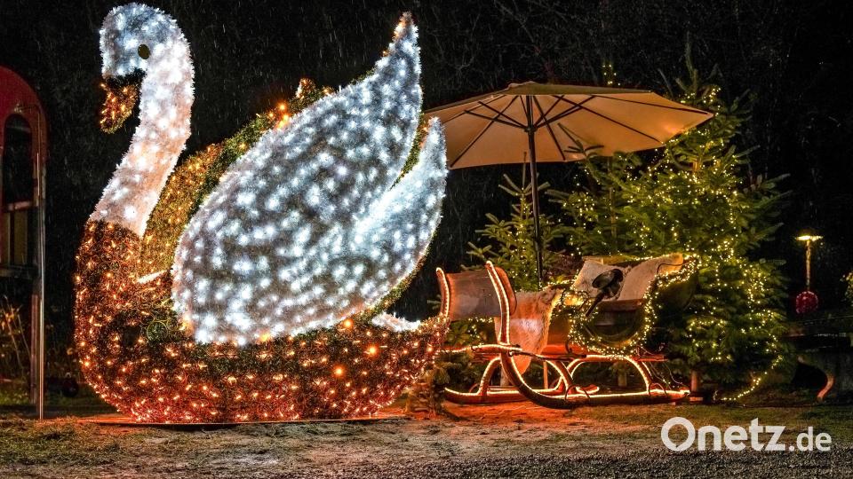 Wenn du Lust hast, kannst du hier beim beleuchteten Schwan ein Selfie machen. Bild: Stadtmarketing Schwandorf, Peter Mayer