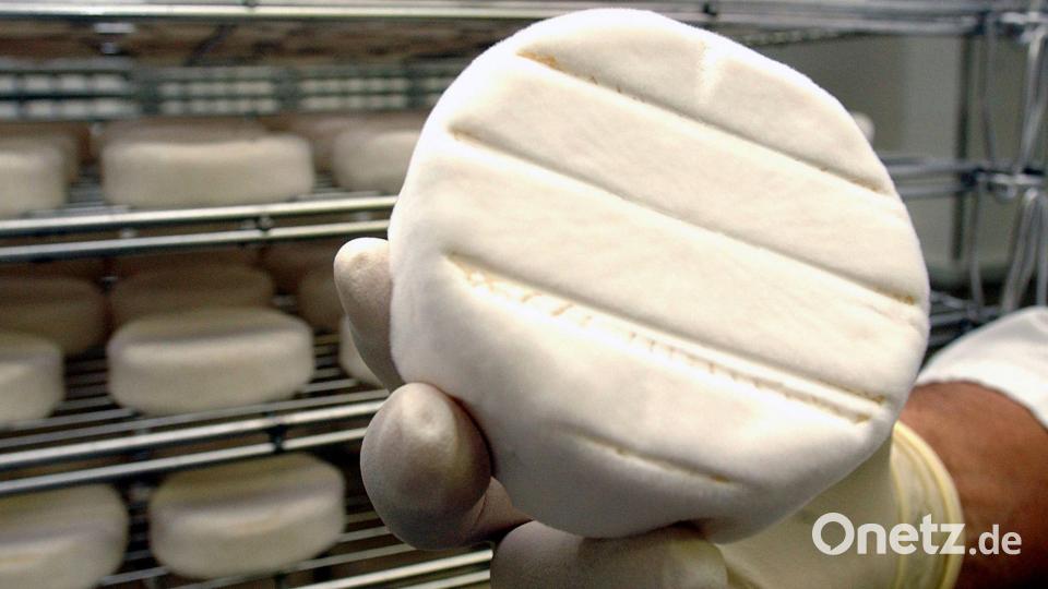 Camembert wird von Penicillium umhüllt. (Illustration) Bild: Jochen Eckel/Zentralbild/dpa