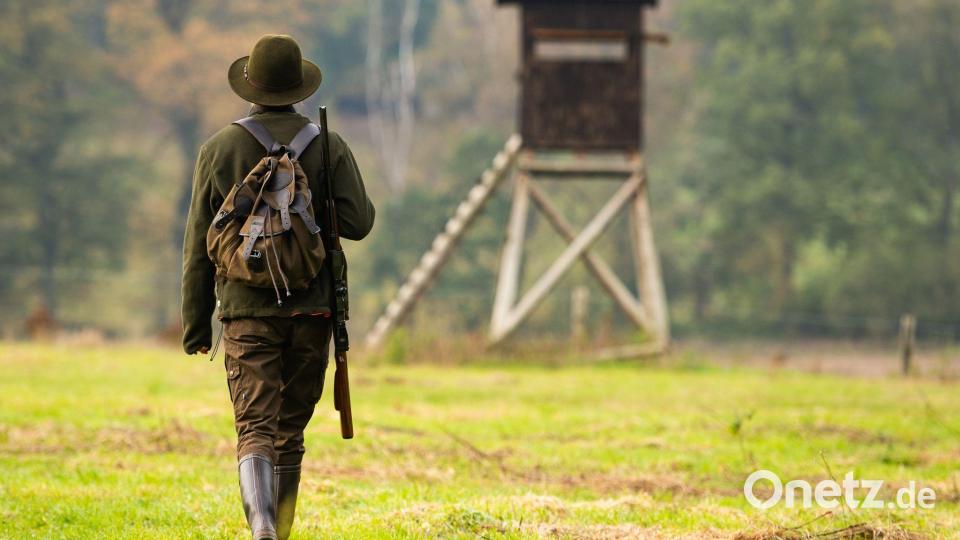 Bayerns Jäger haben nach Ansicht von Jagdminister Aiwanger einen wichtigen Beitrag zum Schutz bedrohter Arten wie Bodenbrütern geleistet. Bild: Philipp Schulze/dpa