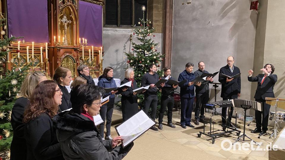 Neben den Schülern trug auch der Lehrerchor des Johann-Andreas-Schmeller-Gymnasiums Nabburg zum Programm des Weihnachtskonzerts in der festlich geschmückten Nabburg Stadtpfarrkirche St. Johannes bei. Bild: aub