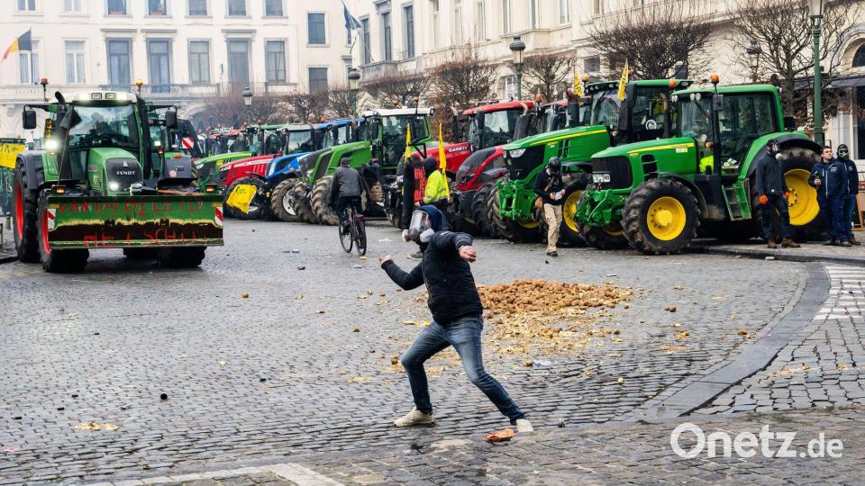 Ein Demonstrant wirft eine Kartoffel Richtung Europaparlament. Bild: Marius Burgelman/AP/dpa