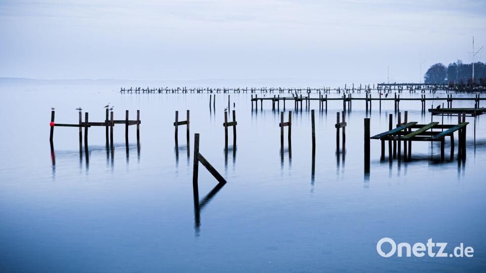 Wasserlandschaft: Pfähle einer abgebauten Steganlage ragen aus dem Steinhuder Meer. Bild: Moritz Frankenberg/dpa
