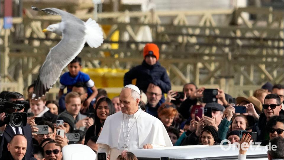 Eine Möwe fliegt vorbei, während der Papst Gläubige auf dem Petersplatz begrüßt. Bild: Gregorio Borgia/AP/dpa