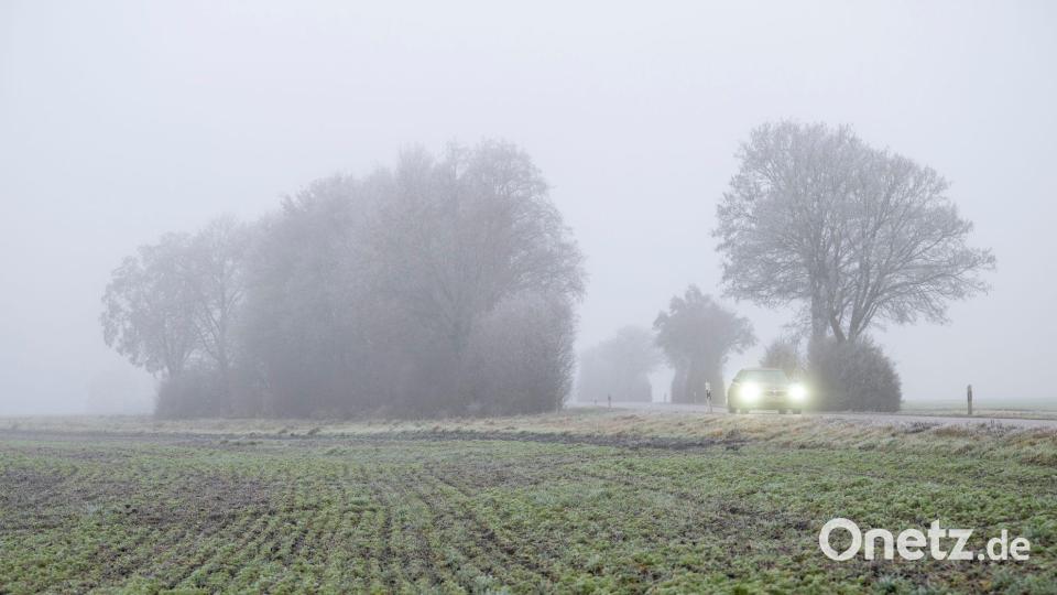 In den meisten Landesteilen wird es voraussichtlich keine weiße Weihnachten geben. Bild: Stefan Puchner/dpa