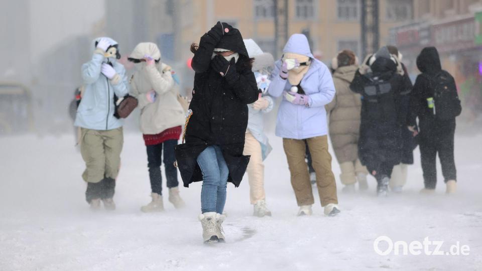 Durch den Schnee - Schneesturmwarnung für Harbin Bild: Zhang Shu/XinHua/dpa