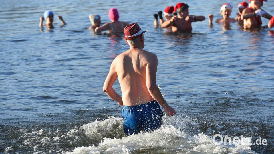 Nicht nur an Weihnachten und Neujahr baden die Berliner Seehunde bei eiskalten Temperaturen im Berliner Orankesee. Bild: Paul Zinken/dpa