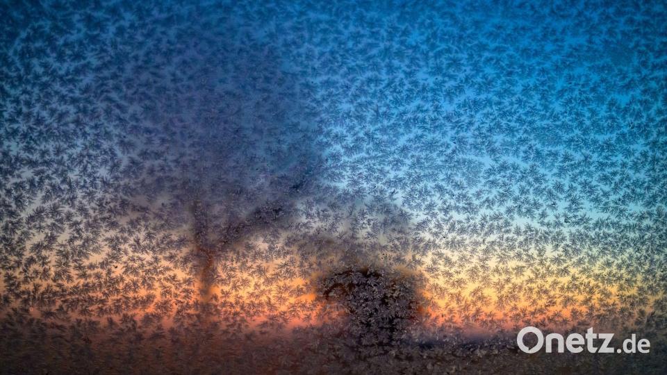 Eisige Weihnachten in Berlin und Brandenburg: Frost bis minus 11 Grad Bild: Patrick Pleul/dpa