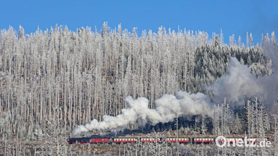 Wintermärchen am Brocken: Sonnige Fahrt mit der Harzer Schmalspurbahn Bild: Matthias Bein/dpa