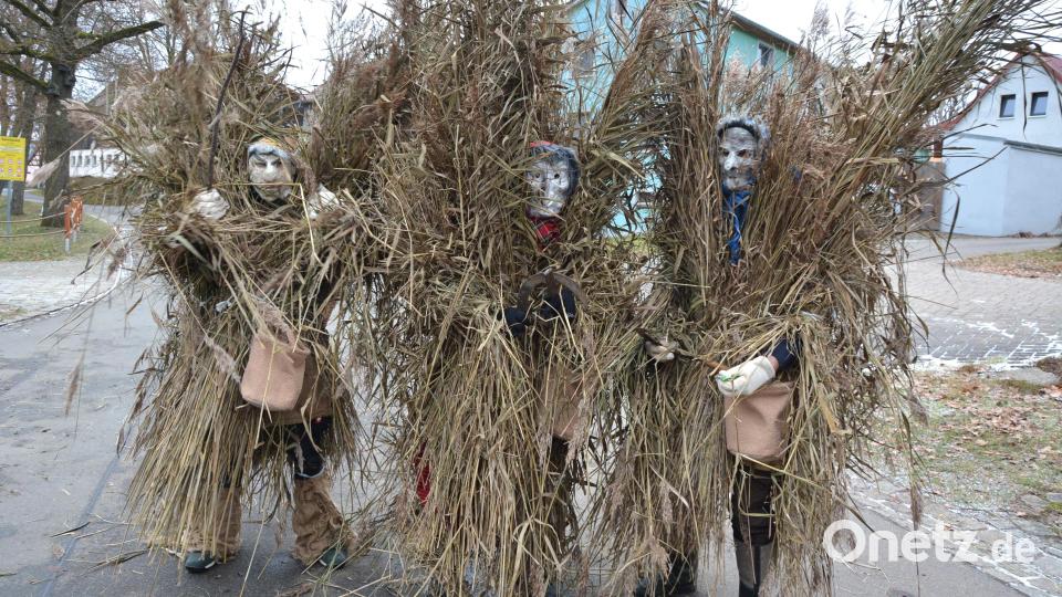 Die drei Spechte in Pleußen schauen schon recht wild aus. Bild: jr