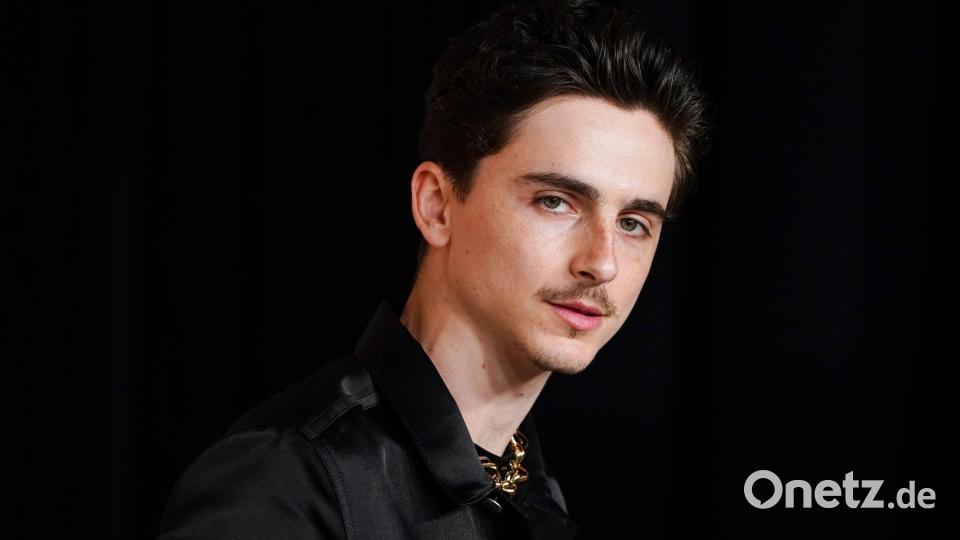 Timothée Chalamet gilt aktuell als einer der gefragtesten Schauspieler Hollywoods (Archivbild). Bild: Jordan Strauss/Invision/dpa